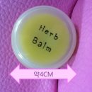 러블리 몽몽 | [러블리몽몽] 반려동물 천연제품 체험후기