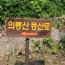악견산등산로 이미지