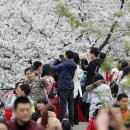 나들이 민박 이미지