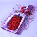 바닷가 숲속 이미지