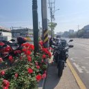 지리산모터스 이미지