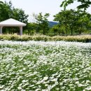 악양생태공원 이미지