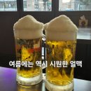 전통민화 | 여름엔 얼맥! 의정부 민락동 맥주 맛집 얼맥당 리뷰