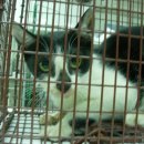 이상윤동물병원 이미지