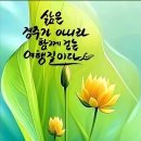 도리도리