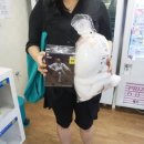 레인보우 뽑기샵 이미지