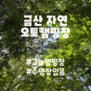 금산 자연 오토캠핑장 | [충남]금산자연오토캠핑장,그늘있는캠핑장,개별화장실,수영장있음