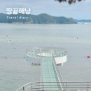 땅끝전망대 | 전남 해남 가볼만한곳 땅끝마을 모노레일 전망대 방문 후기