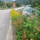 성흠농장 이미지