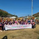 은빛추억 이미지