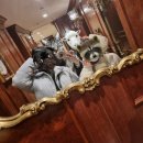 영보안경 | 오사카 3박 4일