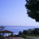 동해휴게소 이미지