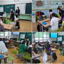 노산초등학교 이미지