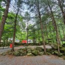 🏕️ 단양 천동계곡 캠핑장에서 여름을 즐기는 방법! 시원한 물놀이부터 가을 밤줍기까지