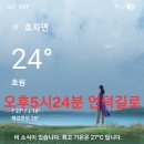 44매니아