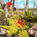 선암어린이집 이미지