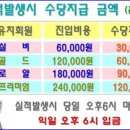 홈앤푸드
