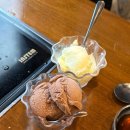 중앙대로349번길 | 문식이의 외출 일지 - 25년 11월