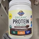 약사가든 | 약사추천 가든오브라이프 프로틴 초콜릿 맛 후기