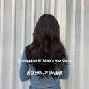 선효 | 송파 미용실 청담보타니카 수석실장 선효 크리닉 후기