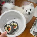 Pet nosh(펫노쉬) | 펫노쉬 / 대전 애견수제간식 맛집