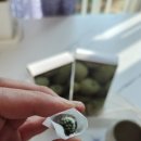 차담한의원 | 역삼 한의원 다이어트환 후기｜비대면 한의원다이어트환 솔직후기