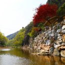 청강수계곡펜션 이미지