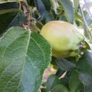 재천농장 이미지