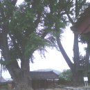 영광향교 이미지