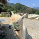 소이목장 이미지