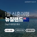 쿡온천 | 11] 1월 뉴질랜드 신혼여행 - 캠퍼밴에서 삼시세끼, 테카포 호수 수영, 테카포 스프링스 온천 수영장 후기