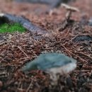 길주공원 이미지