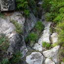 양평-공흥-공흥-13 | 양평 용문산자연휴양림 - 첫 방문이 참 오래 걸렸다, 확 당기는 무언가가 있을 때 다시 한번... (5/20~5...