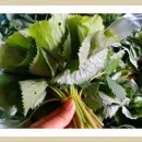 삼공주농장 이미지