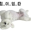 착한약국 이미지