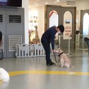 미래엔케어 이미지