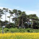 화진포 관광안내소 이미지