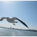 삼목선착장 이미지