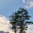 양주 평화의 소녀상 이미지