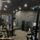 머슬원핏 시화점 이미지