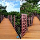 동피랑사람들 이미지