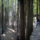 서울숲 &amp; 뚝섬 한강공원 나들이(25.10. 8) 이미지