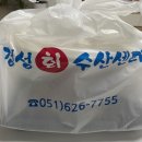 부산 대연동 횟집_ 경성 회 수산센터 산오징어 포장 솔직후기