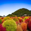 황산공원 이미지