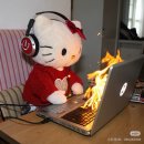 프롬휴 | w8. 플라워 프롬히얼 상담+계약 후기/사랑재 플라워디렉팅업체
