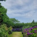 동광리-19 이미지