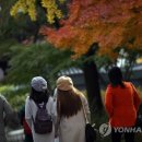 '가을 절정인데 궂은 날씨 대수냐'..유명산·축제장 관광객 넘실 이미지