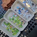 번천초등학교 병설유치원 이미지