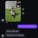 캉스펫