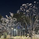 씨유(CU) 신가부영점 | 편의점 맥주 추천 CU 맥주 할인 마츠다 X 생활맥주 마츠다비어 후기